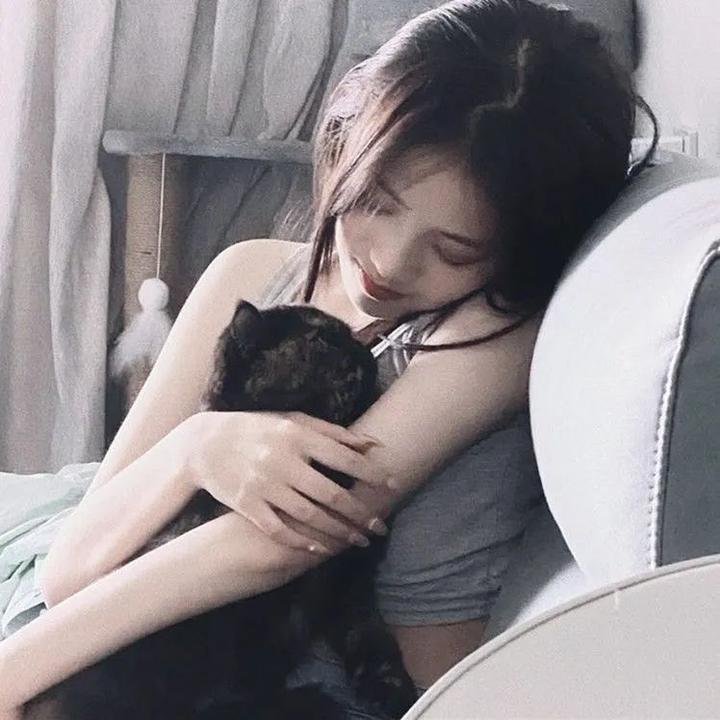 肥佬教授2